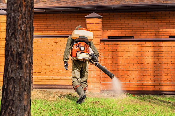 Trusted Rodent Control service in Hillsboro, OR - Nex Pest Control